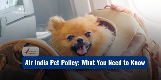 Air India Pet Policy